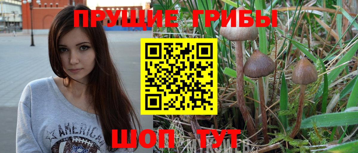 Галлюциногенные грибы MAGIC MUSHROOMS Владикавказ